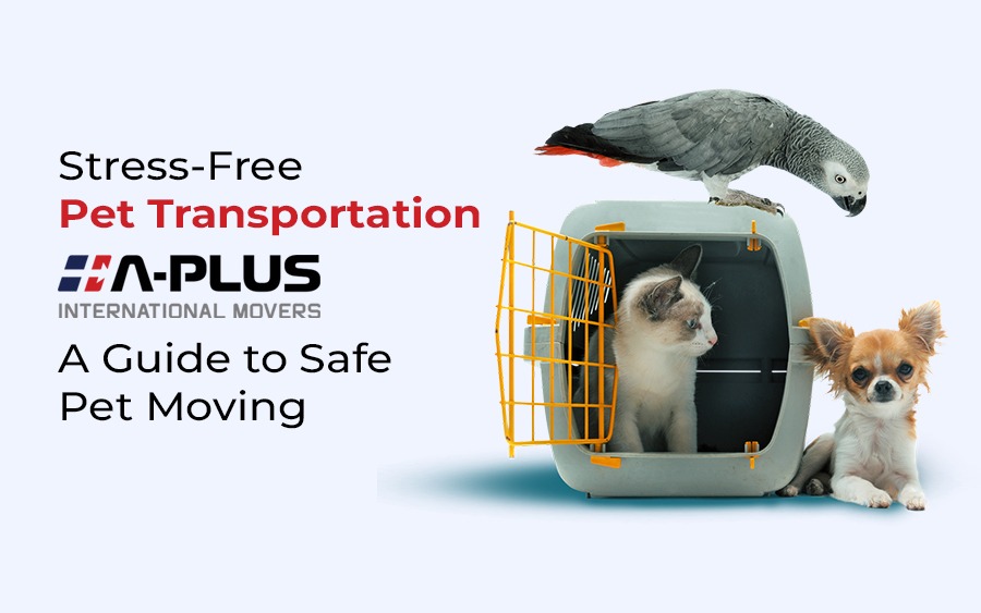 Stress-Free-Pet-Transportation-with-Aplus-International-Movers-A-Guide-to-Safe-Pet-Moving