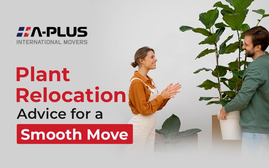 Plant-Relocation-Advice-for-a-Smooth-Move
