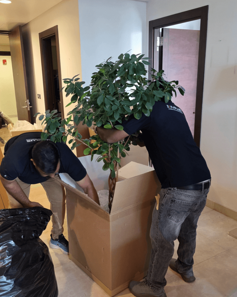 International Movers in Dammam, Saudi Arabia